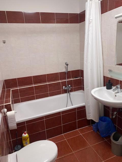 Roland Apartment Downtown - Garay Boedapest Buitenkant foto